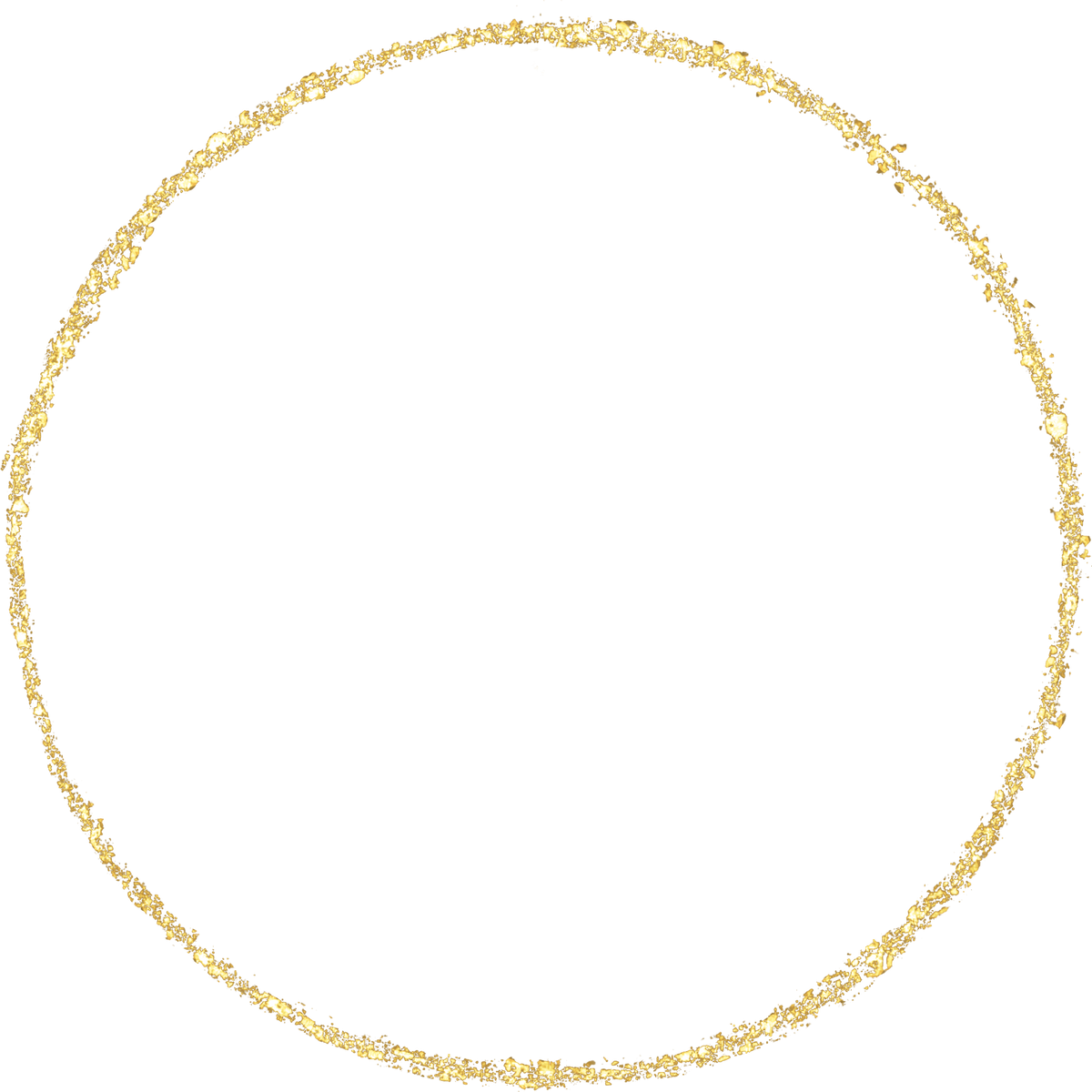 gold glitter shiny sprinkles circlle